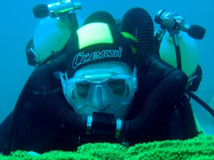George looks for an octopus lunch