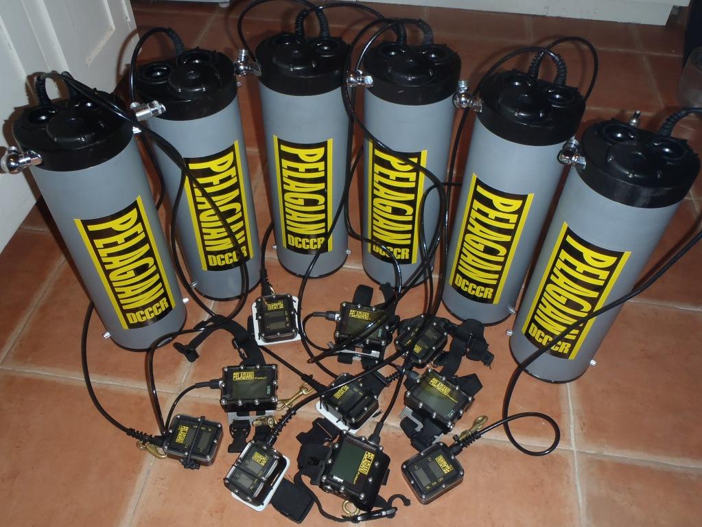 6 Pelagians ready for action...